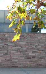 Zufallsbild